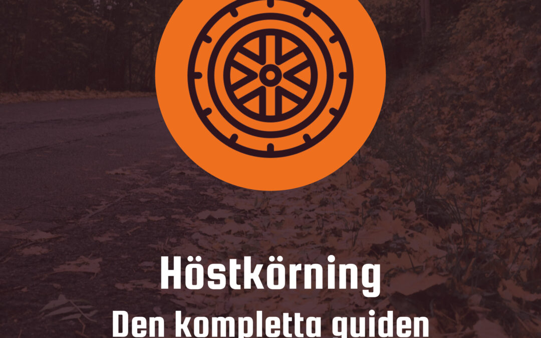 Köra i höstväder: regn, löv, vattenplaning och lågt stående sol