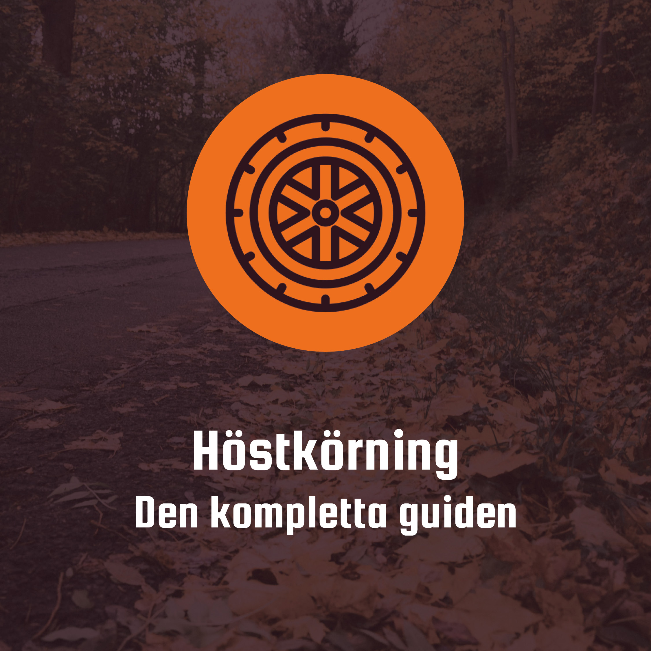 ystad-trafikutbildning-hostkorning Köra i höstväder tips och råd